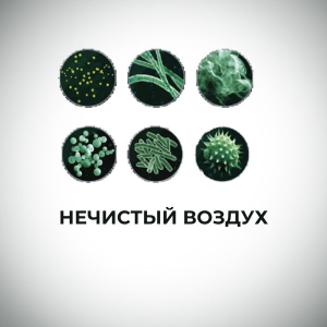 О ценности свежего воздуха!